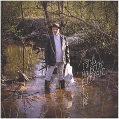 I Sing My Body Electric I Do Me (LP)