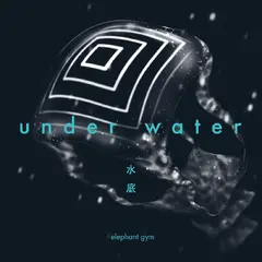 Elephant Gym Underwater - LTD (LP)