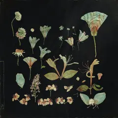 Leaving Laurel When The Quiet Comes (2LP)