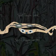 Animal Collective Spirit They're Gone, Spirit… - LTD (2LP)