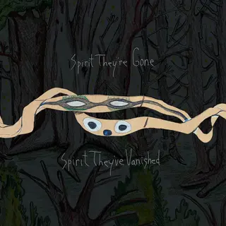 Animal Collective Spirit They're Gone, Spirit… - LTD (2LP)
