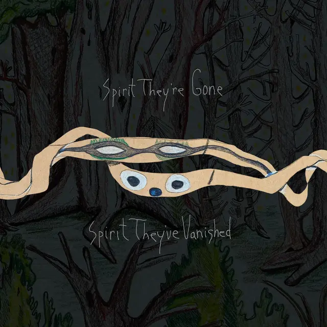 Animal Collective Spirit They're Gone, Spirit They… (2LP) 