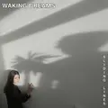 Waking Dreams Sliding Lines (CD)