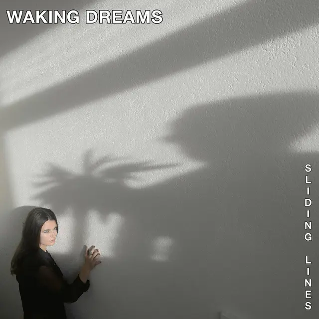 Waking Dreams Sliding Lines (LP) 