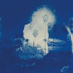 Fruit Bats A River Running To Your Heart (LP)