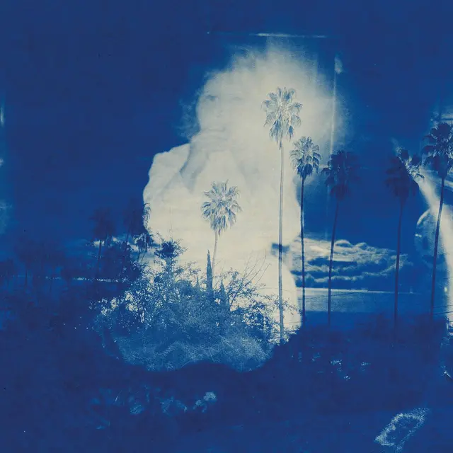 Fruit Bats A River Running To Your Heart (LP) 