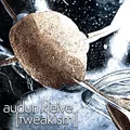 Audun Kleive Tweakism (CD)