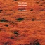 Kenny Wheeler Gnu High - LTD (LP)