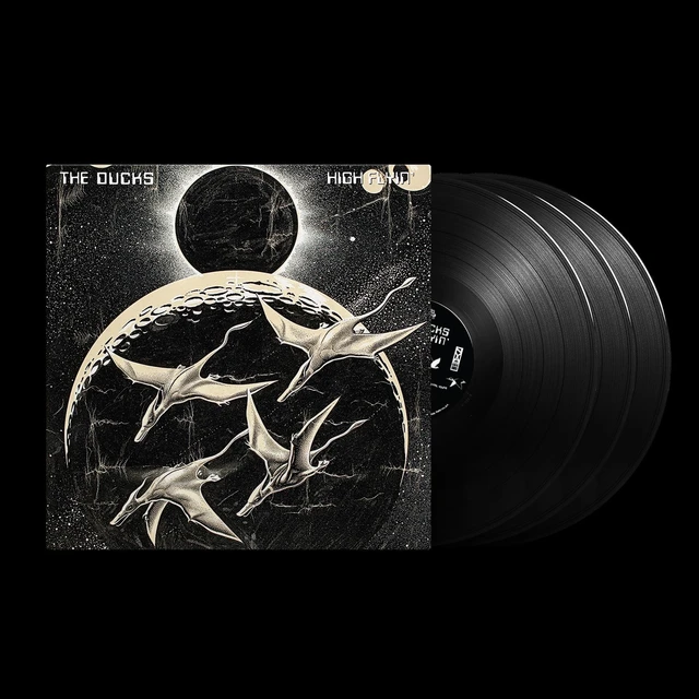 Neil Young The Ducks - High Flyin' (3LP) 