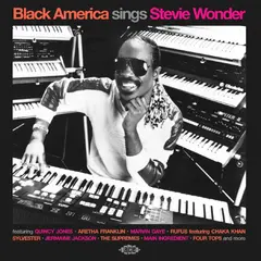 Diverse Artister Black America Sings Stevie Wonder (CD)
