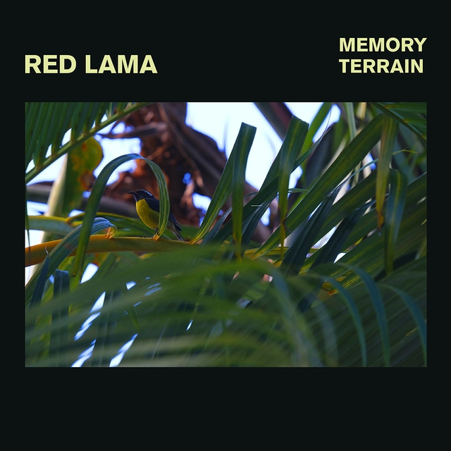 Red Lama Memory Terrain (LP) 