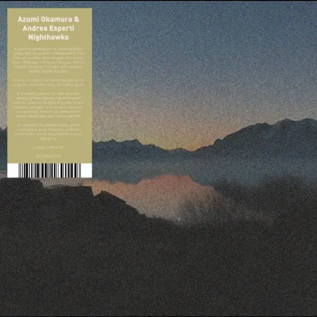 Azumi Okaruma & Andrea Esperti Nighthawks (LP) 