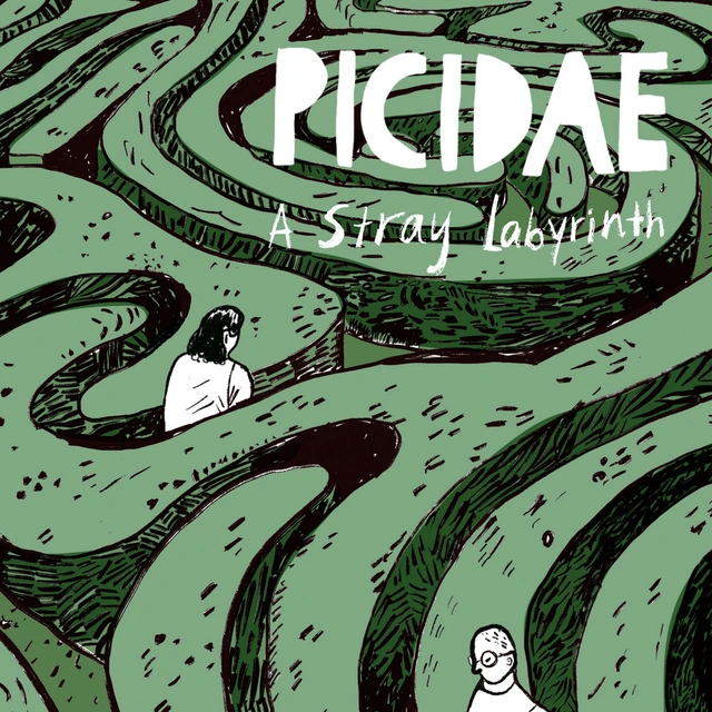 Picidae A Stray Labyrinth (LP) 