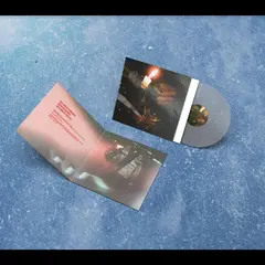 Steiner &amp; Madlaina Risiko - LTD (LP)
