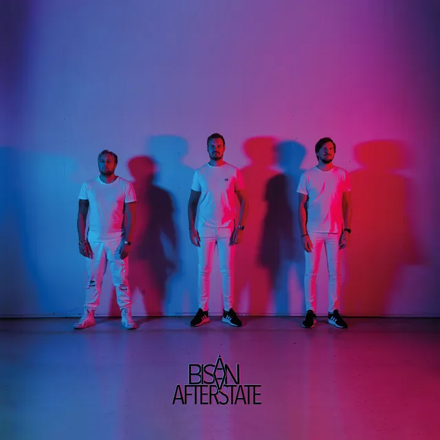 Bisån Afterstate (LP) 