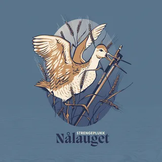 Strengeplukk Nålauget (CD)