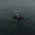 NF Hope (2LP)