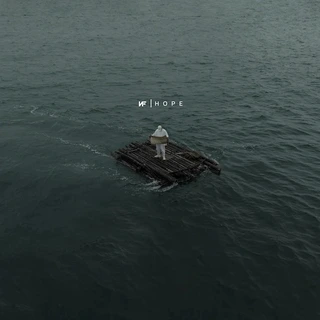 NF Hope (2LP)