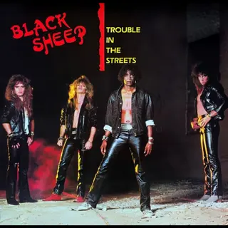 Black Sheep Trouble In The Streets (CD)