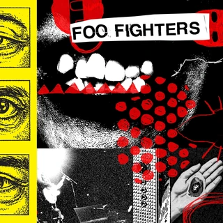 Foo Fighters Your Favorite Toy (LP)
