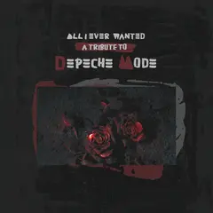 Diverse Artister All I Ever Wanted - A Tribute…- LTD (LP)