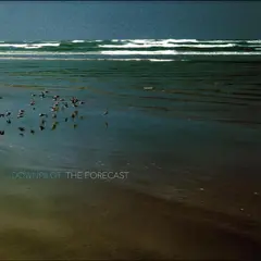 Downpilot The Forecast (LP)