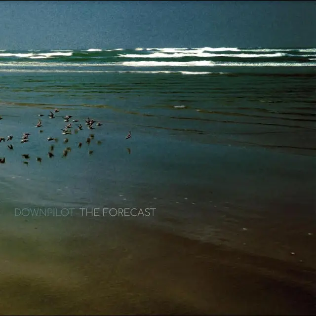 Downpilot The Forecast (LP) 