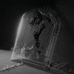 Visible Cloaks Paradessence (LP)