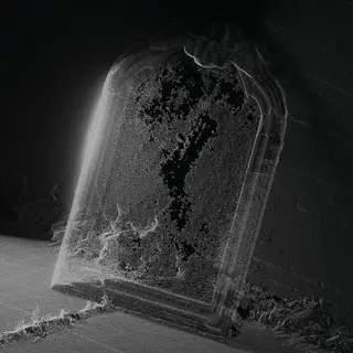 Visible Cloaks Paradessence (LP)