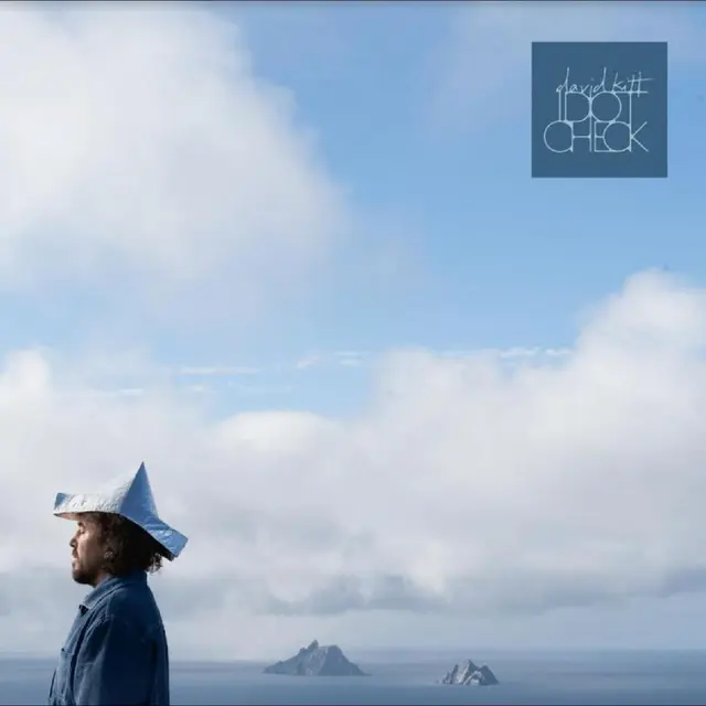 David Kitt Idiot Check (LP) 