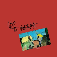 Nein Rodere Form &amp; Feeling (LP)