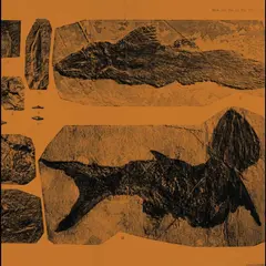 Annelies Monseré Mares (LP)