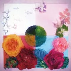 Zenizen P.O.C (Proof Of Concept) - LTD (LP)
