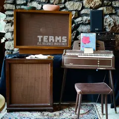 Terms All Becomes Indistinct - LTD (LP)