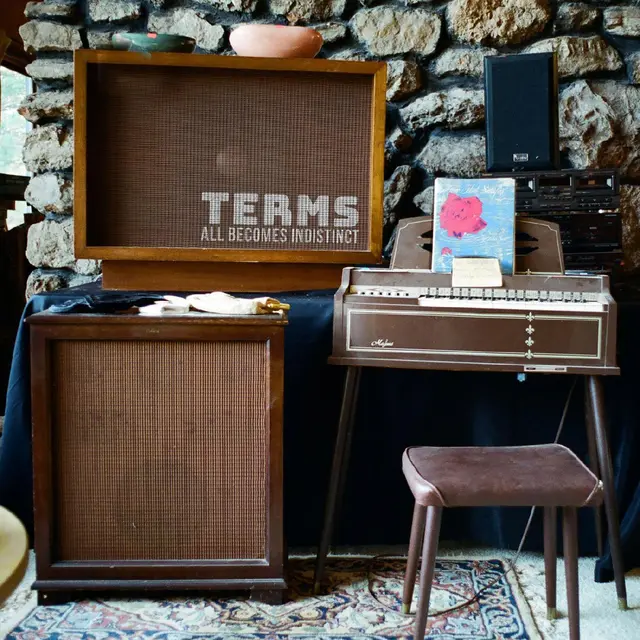 Terms All Becomes Indistinct - LTD (LP) 