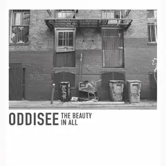 Oddisee The Beauty In All - LTD (LP)