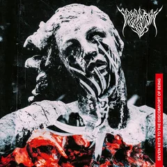 Predatory Void Seven Keys To The Discomfort Of… (LP)