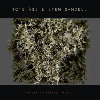Tone Åse &amp; Sten Sandell Voices In Between Voices (LP)