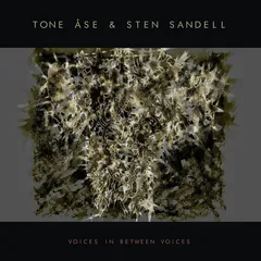 Tone Åse &amp; Sten Sandell Voices In Between Voices (CD)