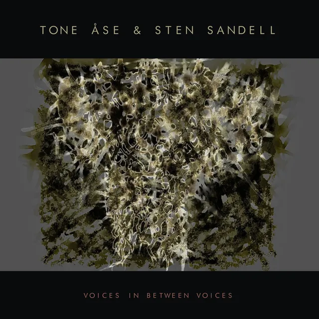Tone Åse & Sten Sandell Voices In Between Voices (CD) 