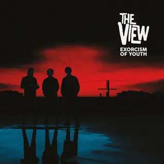 The View Exorcism Of Youth - LTD (LP)