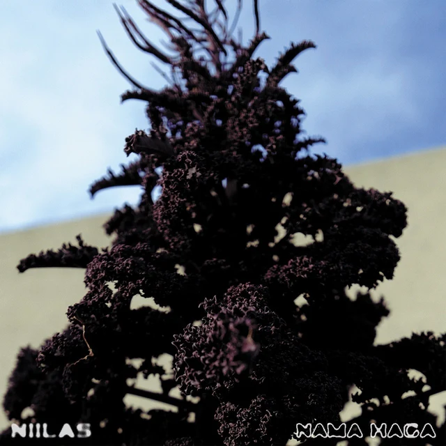 Niilas Nama Haga (CD) 