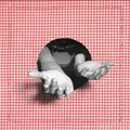 Ulrika Spacek Compact Trauma (LP)