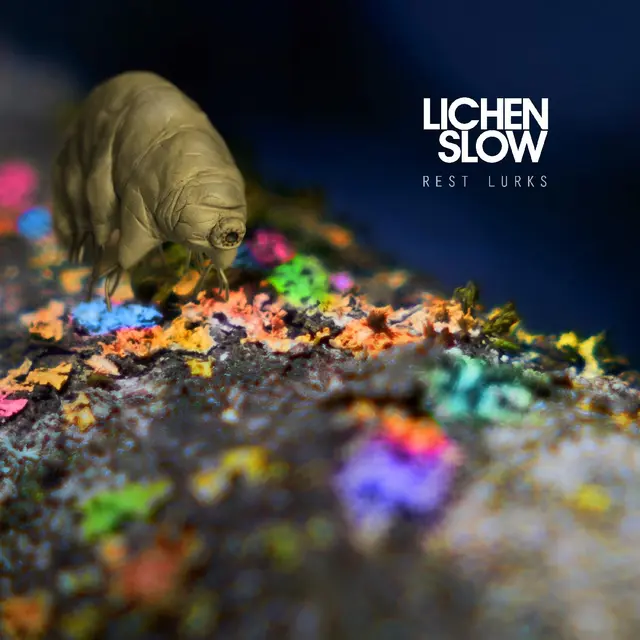 Lichen Slow Rest Lurks - LTD (LP) 