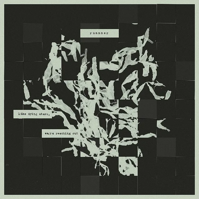 Runnner Like Dying Stars, We're… - LTD (LP) 