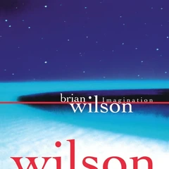 Brian Wilson Imagination - RSD (LP)