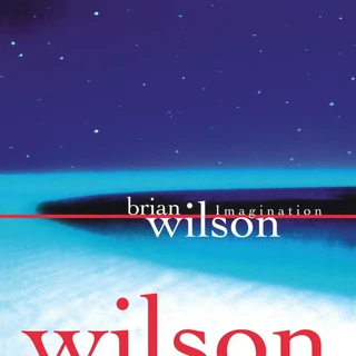 Brian Wilson Imagination - RSD (LP)