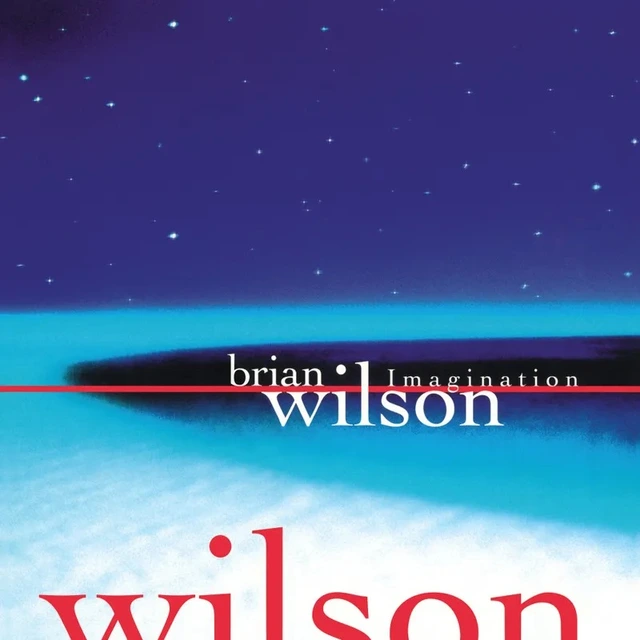 Brian Wilson Imagination - RSD (LP) 