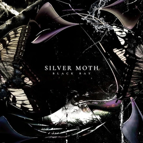 Silver Moth Black Bay - LTD (LP) 