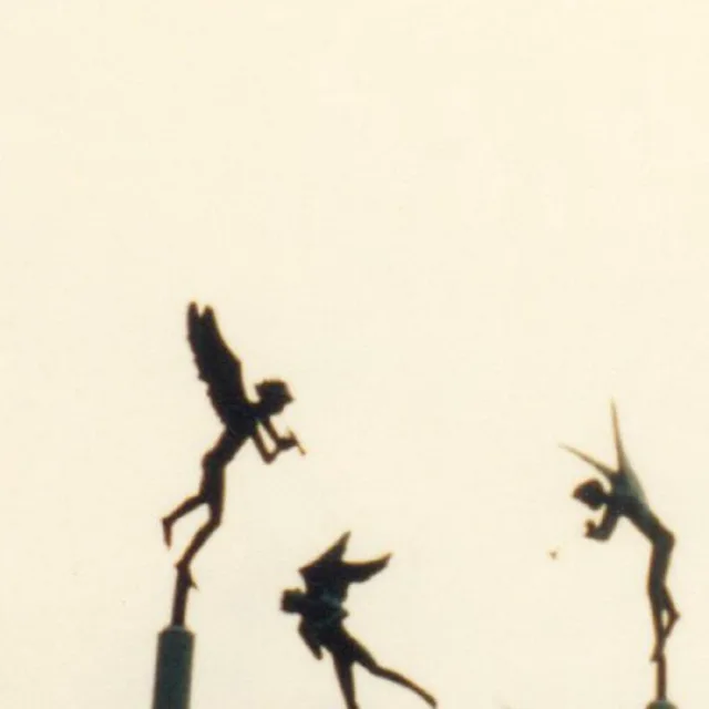 Bardo Pond No Hashish, No Change Money… - LTD (LP) 
